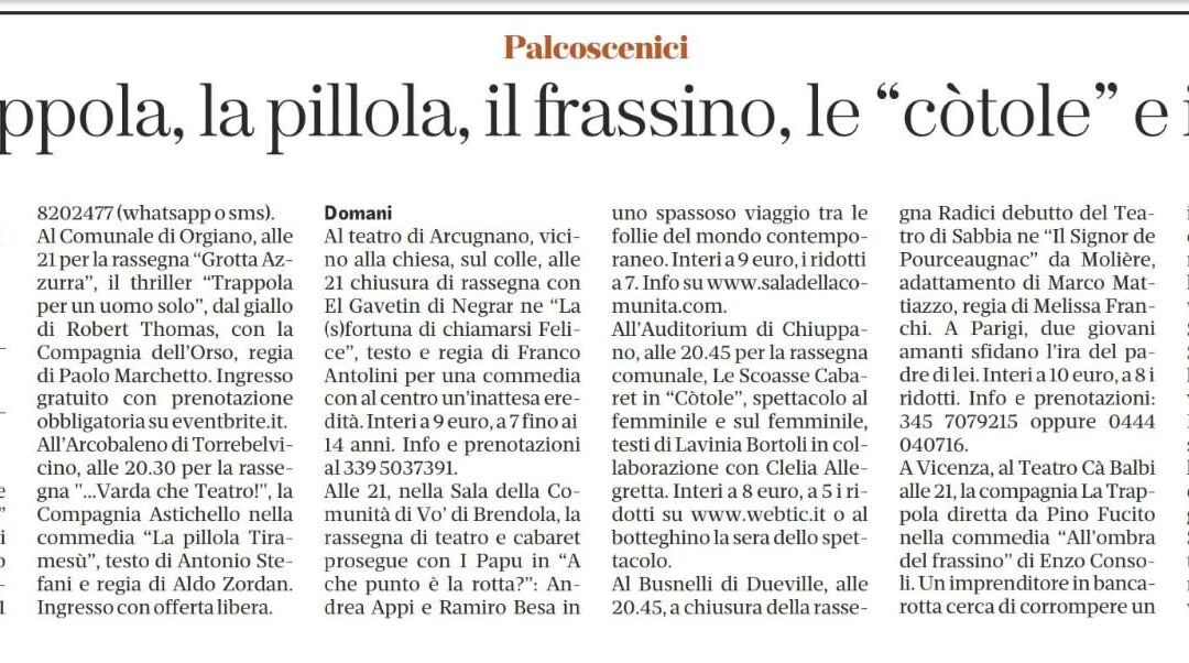 GIORNALE DI VICENZA 28/03/2025
